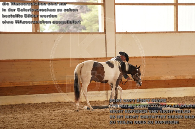 s_A_901314.JPG